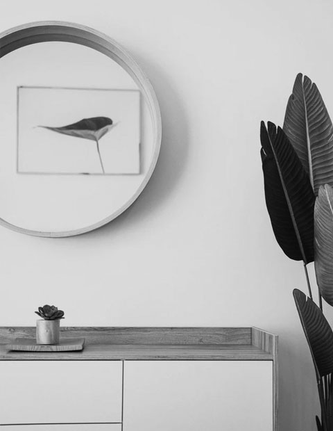 Home feature 3.jpg